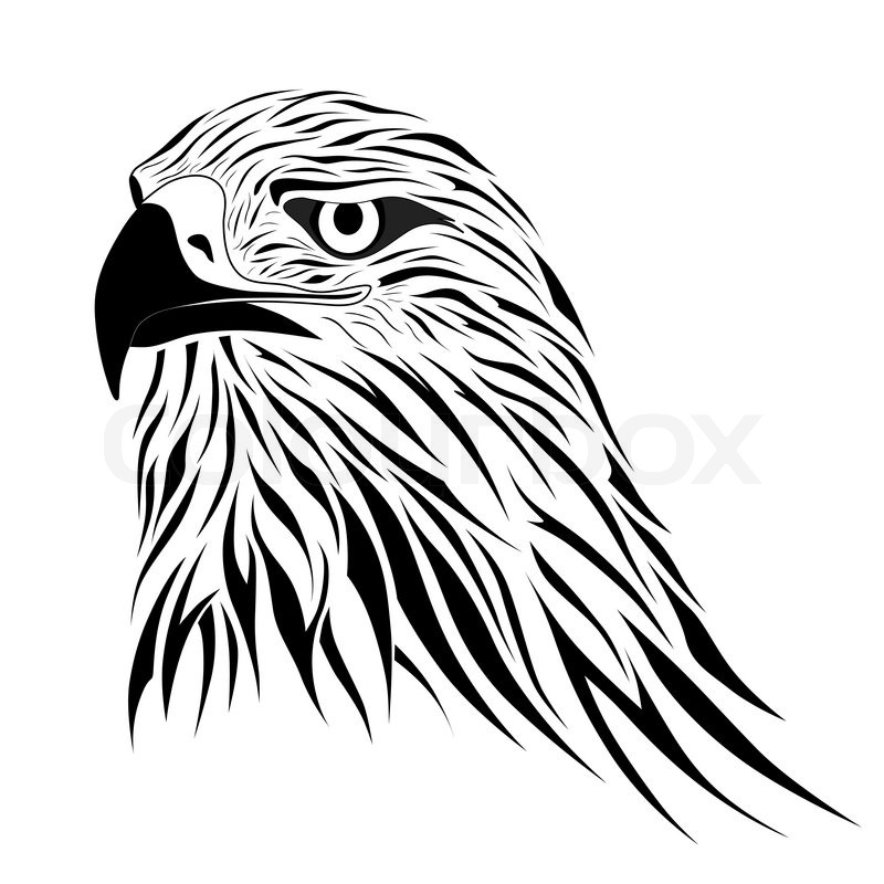 800x800 Abstract Hawk In The Form Of A Tattoo Stock Vector Colourbox