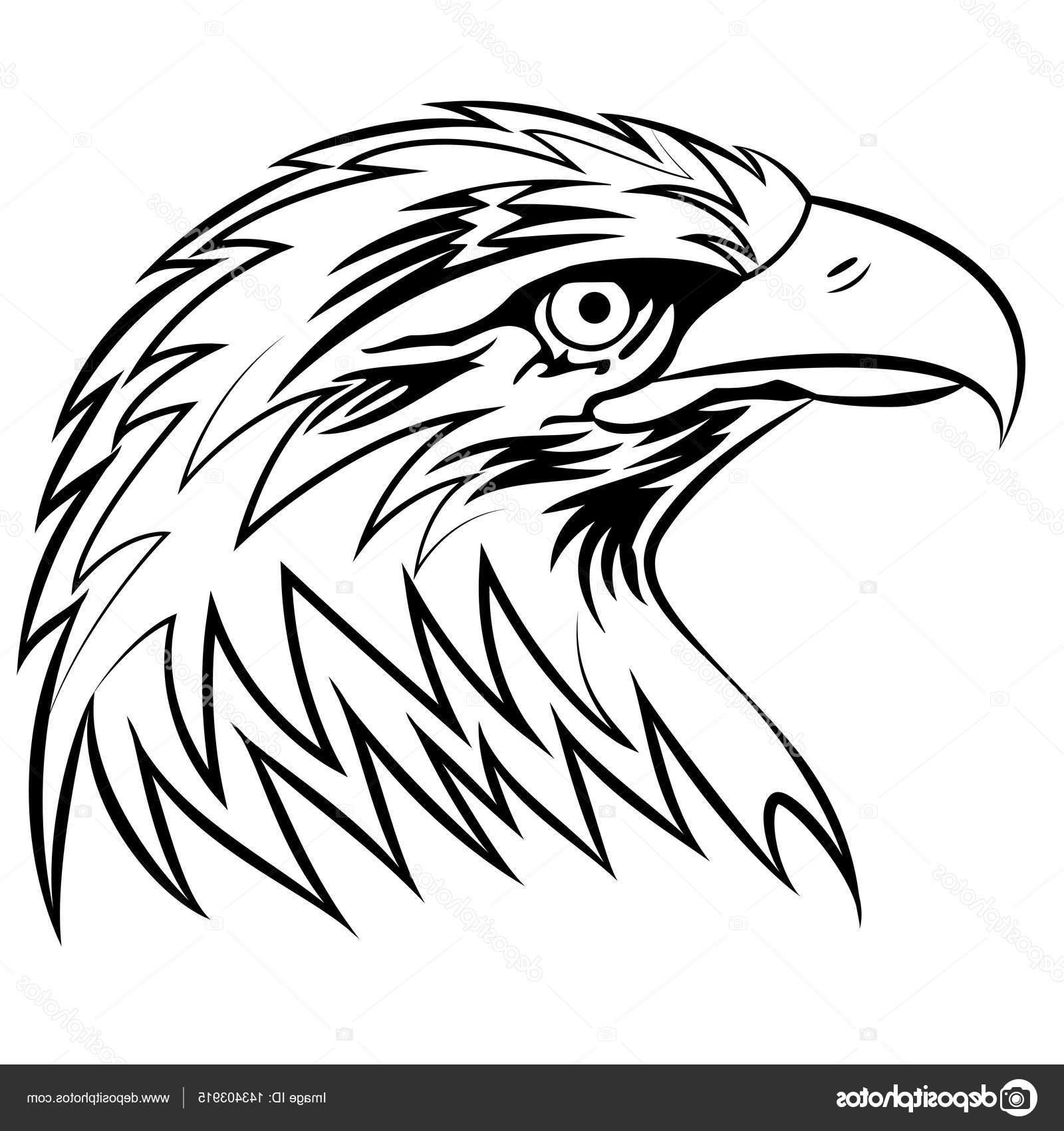 Simple Hawk Drawing at GetDrawings | Free download