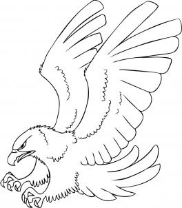264x302 How To Draw A Cartoon Hawk Step 4 Craft Cartoon