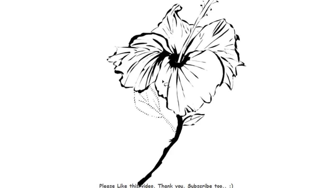 1280x720 How To Draw A Hibiscus Flower Yzarts Yzarts