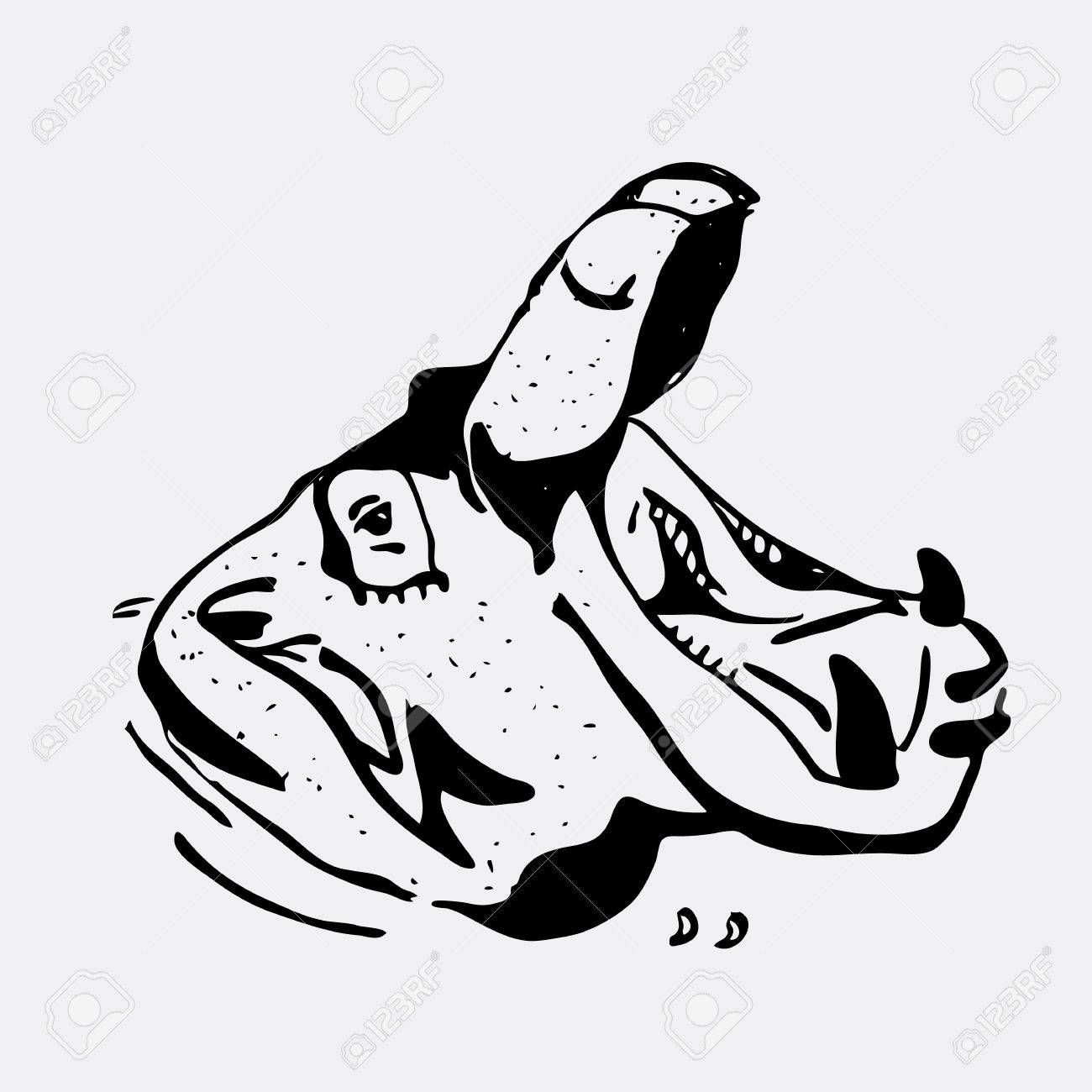 1300x1300 Hand Drawn Pencil Graphics, Hippo, Hippopotamus, Behemoth