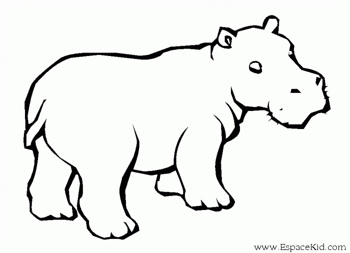 Simple Hippo Drawing at GetDrawings | Free download