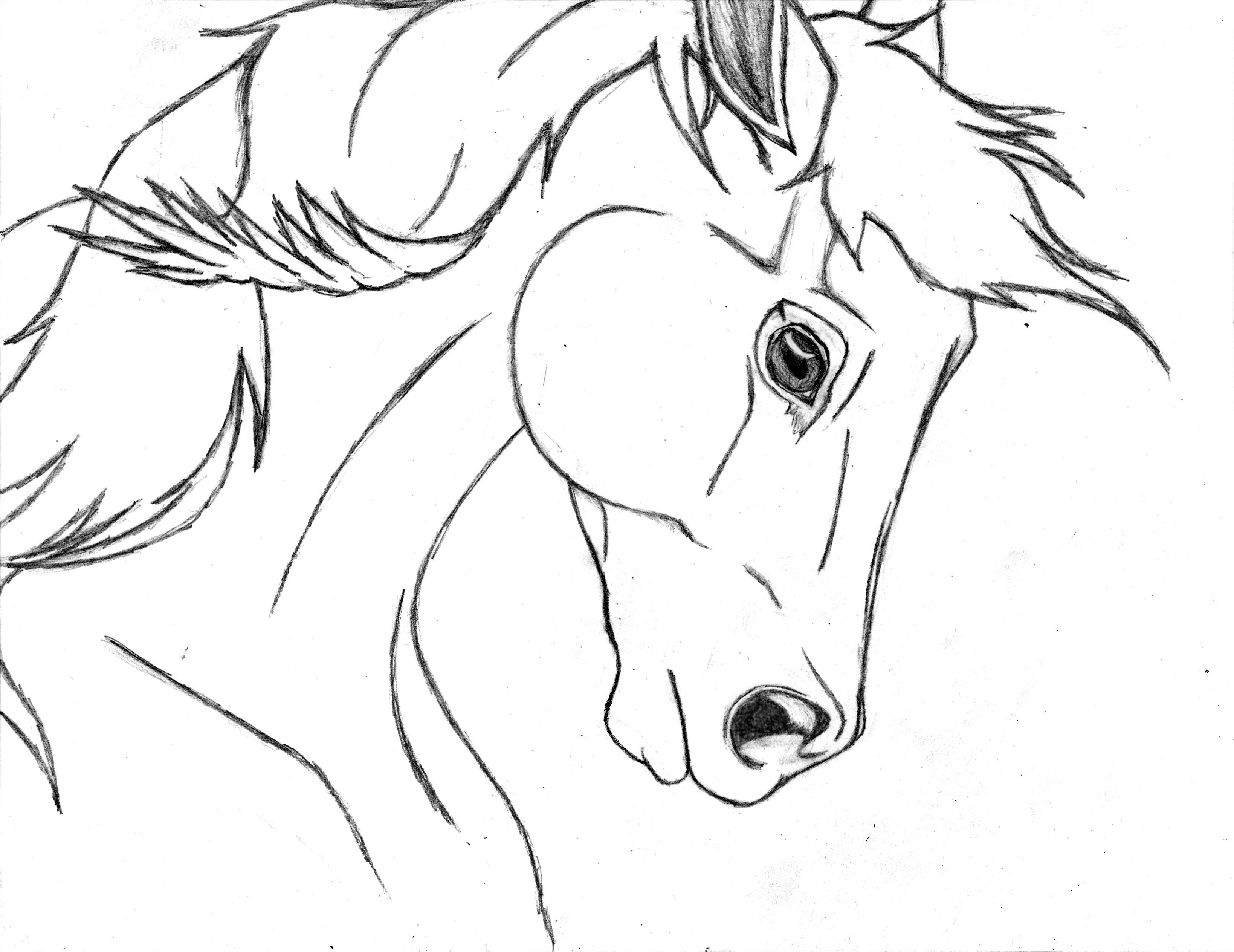 3276x2526 Easy Horse Drawings In Pencil Step By Step How To Draw A Horse
