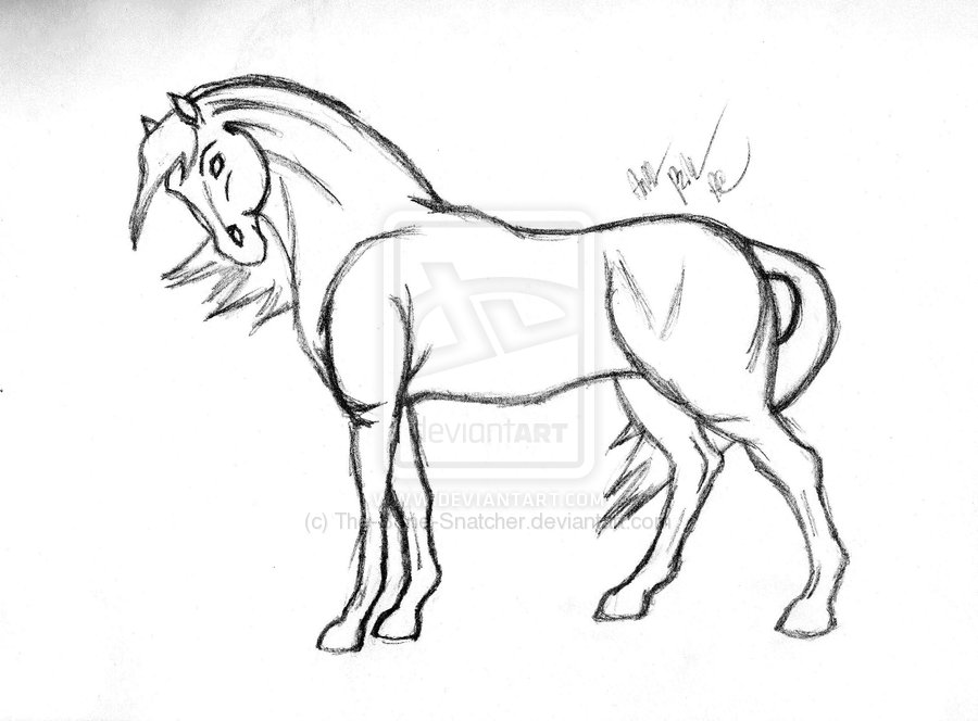 900x664 Horse Drawings Horse Sketch By The Bone Snatcher Horse
