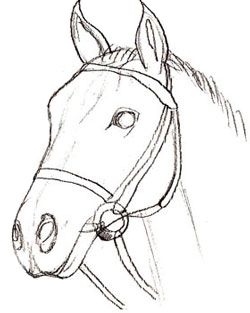 250x313 How To Draw A Horse Head
