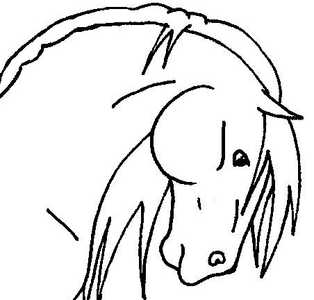 452x432 Horse Head Lineart 2