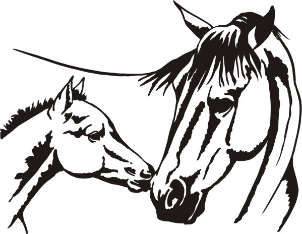 599x464 Horse Head Simple Horse Face Clipart