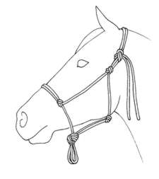 225x253 Natural Horse Magazine