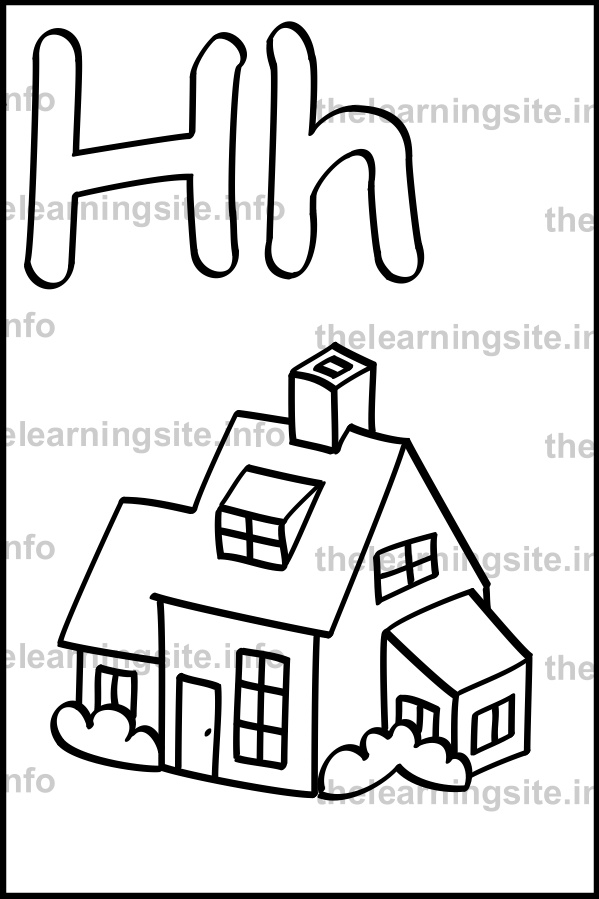 599x899 The Learning Site