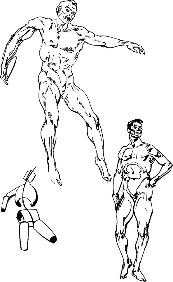 593x967 How To Draw People With Human Anatomy Lessons How To Draw