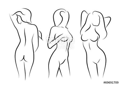 500x357 Vector Illustrations Vector Women Naked Human Beauty Body Drawing