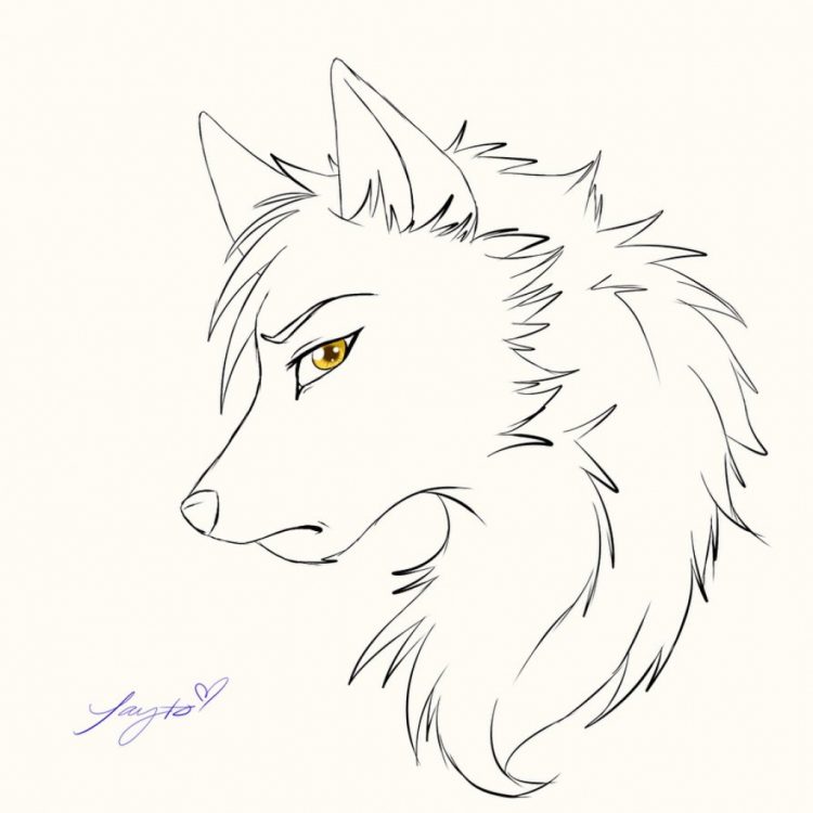 750x750 Drawing Wolf Face Drawing Simple Together With Wolf Face Drawing