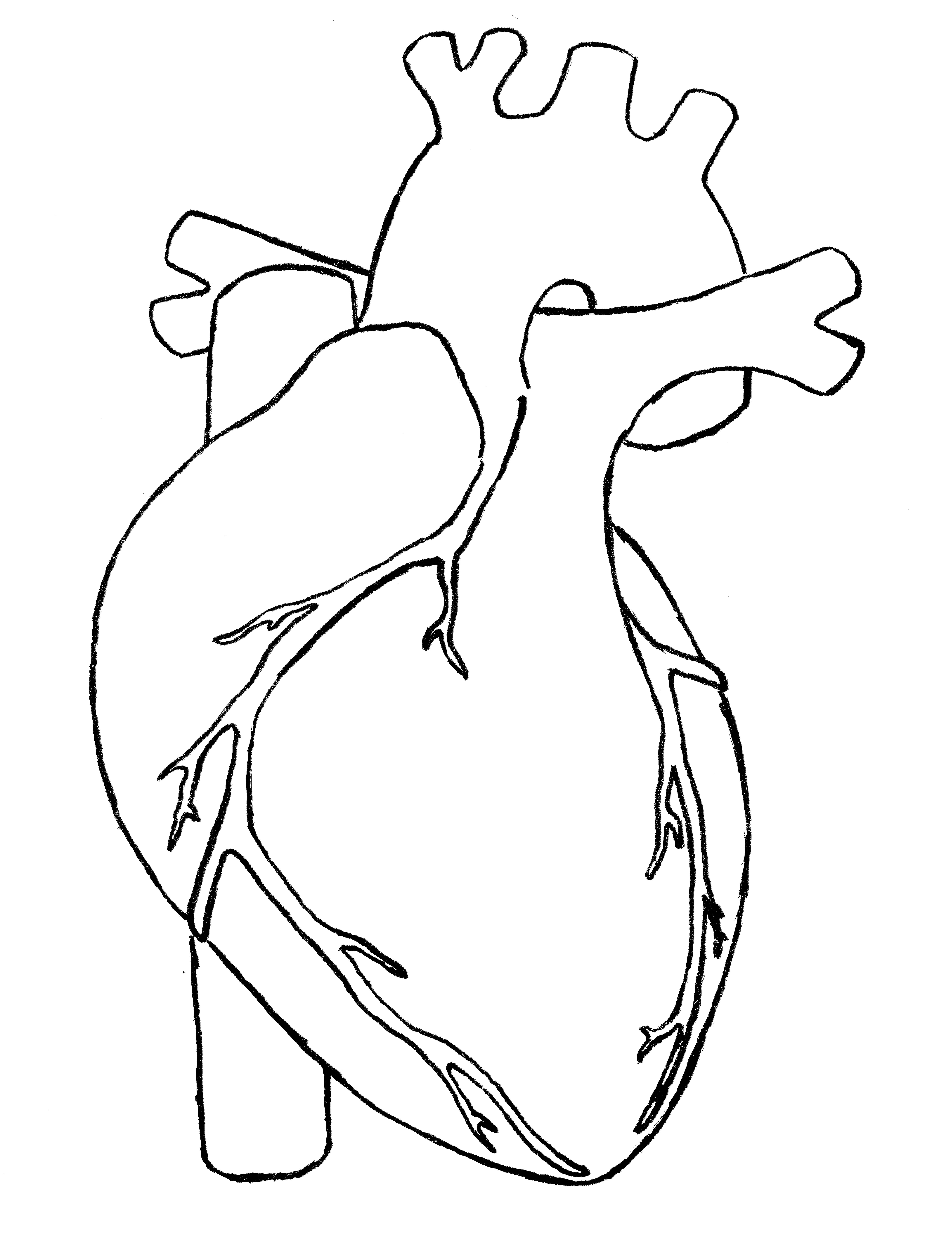 6191x8085 Simple Human Heart Drawing Human Heart Drawing Drawing Images
