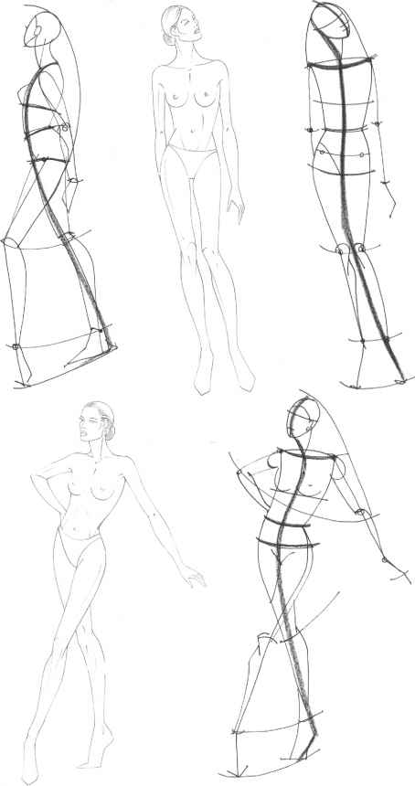 454x860 The Fashion Plate