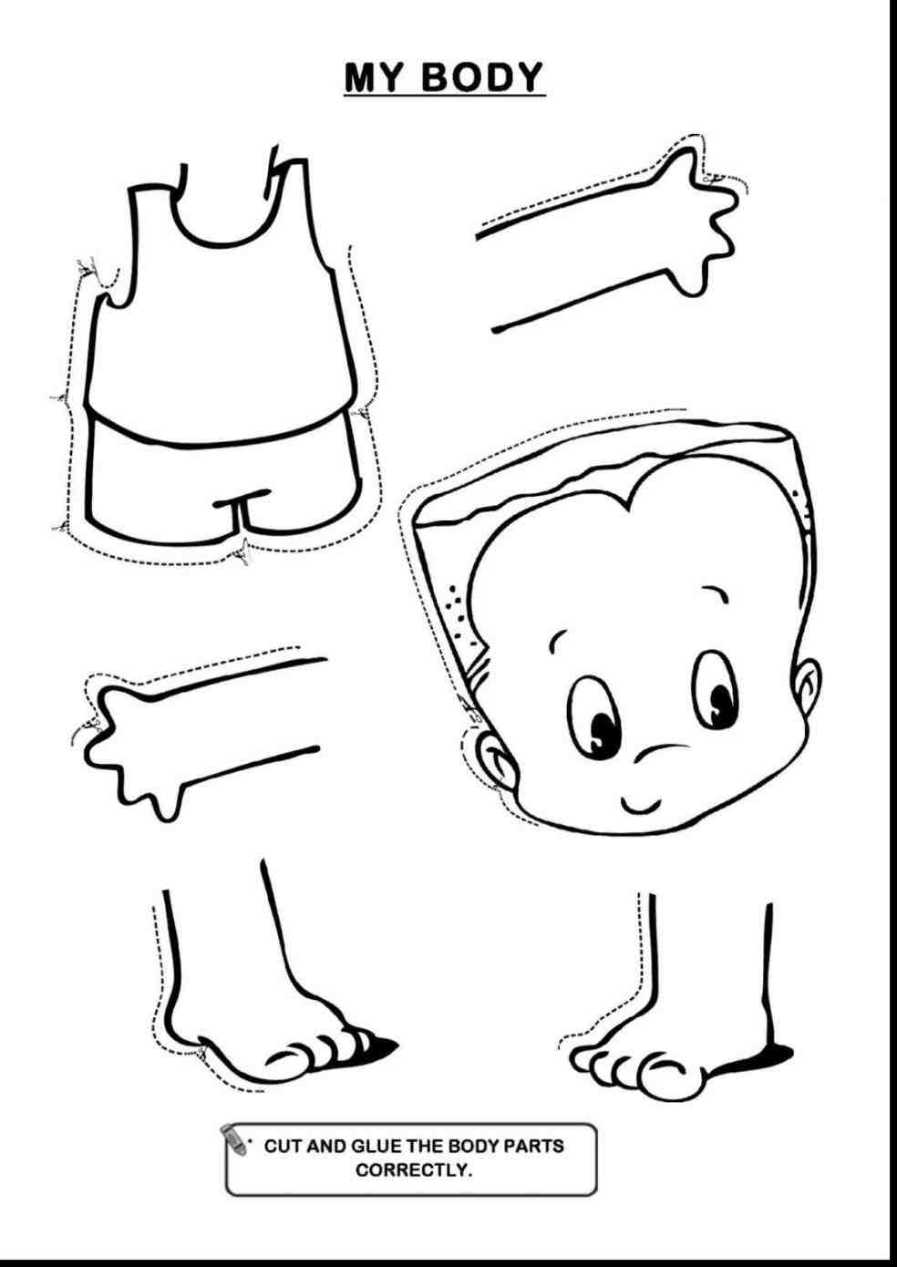 984x1390 Step Science Rt Humn Body T Nmy How To Draw A Human