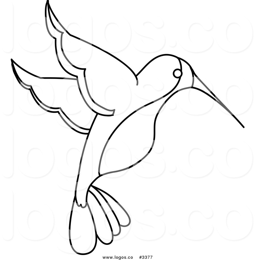 1024x1044 Hummingbird Clipart Black And White