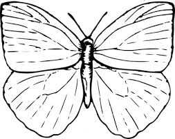 253x200 Image Result For Simple Insect Drawing Images Insects