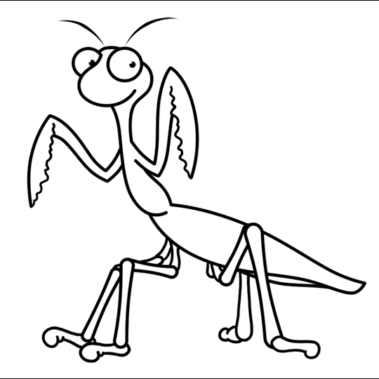 540x540 Praying Mantis Insect Cartoon Drawing Lesson