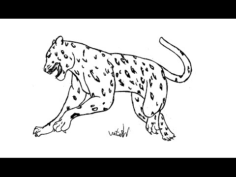 480x360 How To Draw A Jaguar (Animals)