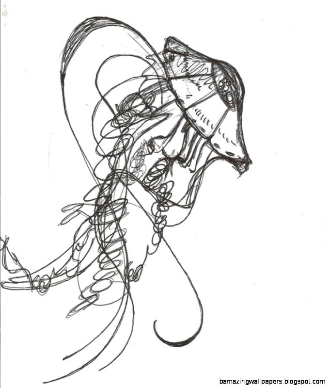 Simple Jellyfish Drawing at GetDrawings | Free download