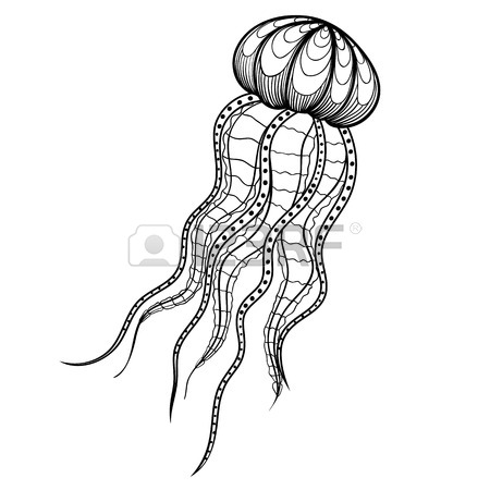 450x450 112 Ornamental Jellyfish Stock Illustrations, Cliparts And Royalty
