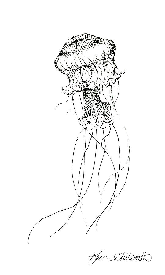 540x900 Jellyfish Sketch