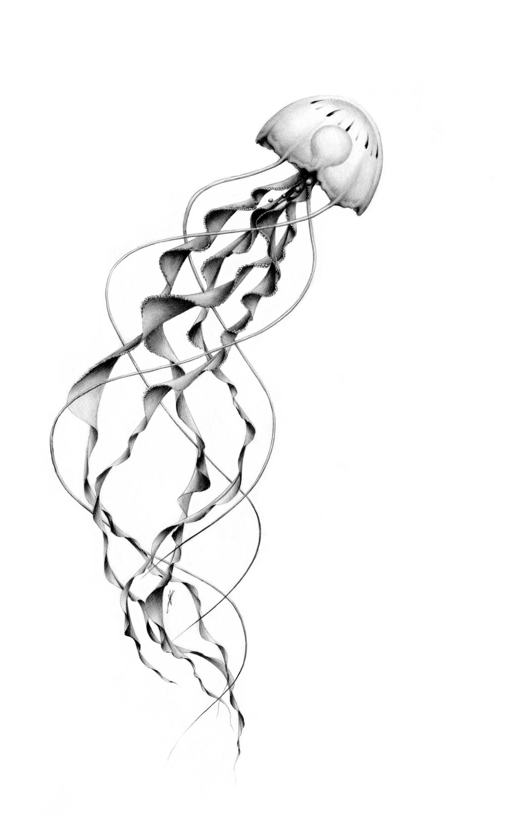 1024x1650 Jellyfish Tattoo Designs