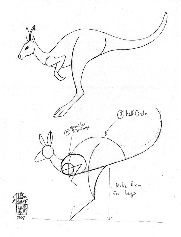 600x785 Draw A Kangaroo 2 By Diana Huang