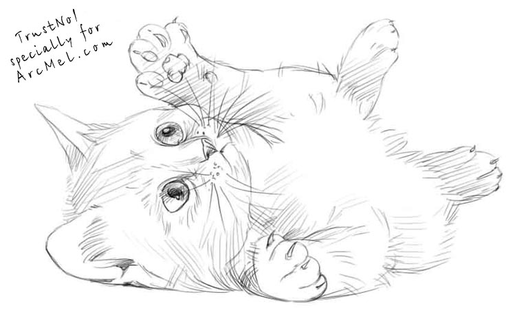 768x480 How To Draw A Kitten Step By Step