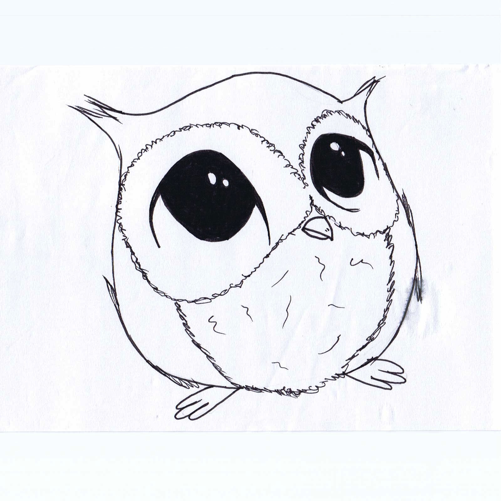 1599x1600 Simple Baby Owl Drawing