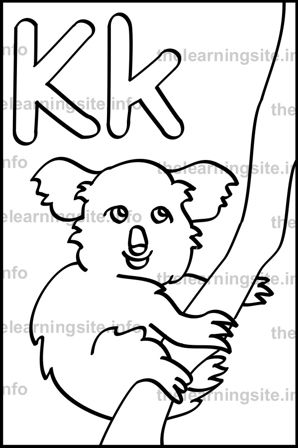 599x899 The Learning Site