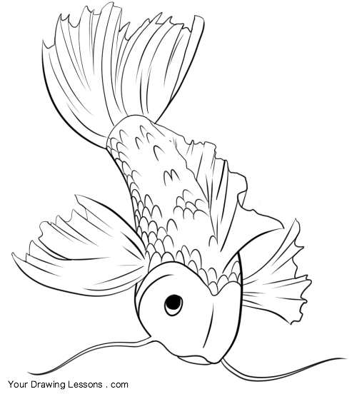 500x552 How To Draw A Koi Fish Your Drawing Lessons