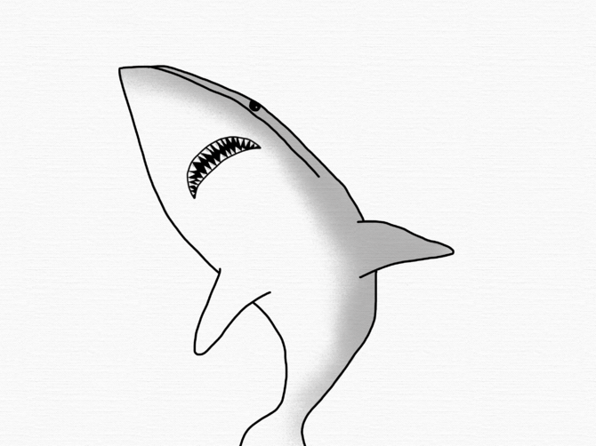 670x502 4 Ways To Draw A Shark