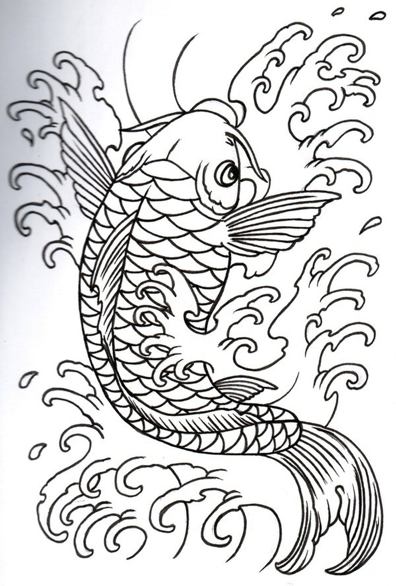800x1184 Simple Koi Fish Elaxsir