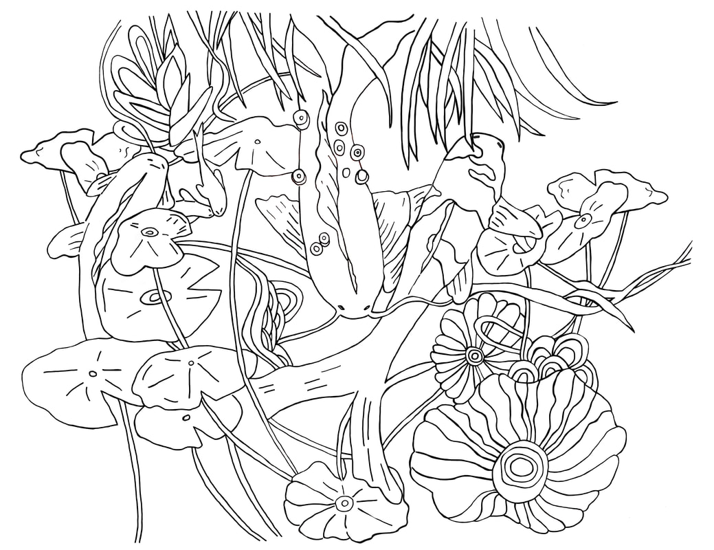 1039x800 Collings Amp Co Blog News!