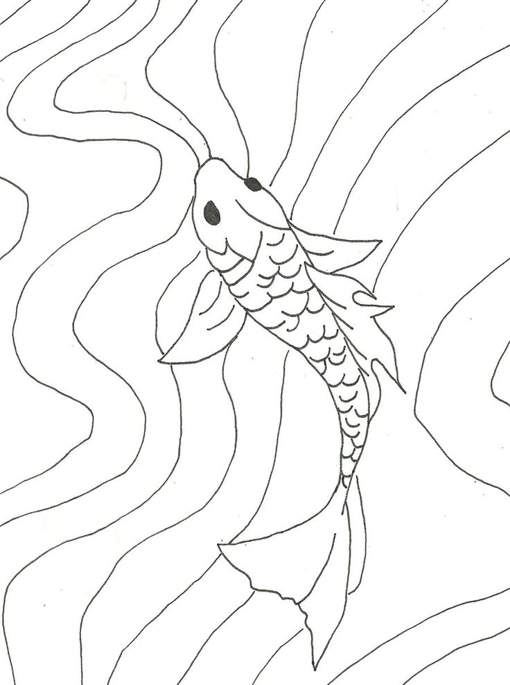 Simple Koi Fish Drawing