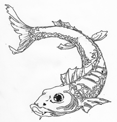 230x241 Sketches Of Koi Fish Symbolic, Pretty And Popular Simple To Draw