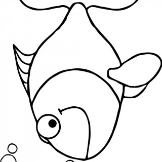 320x320 Tag For Medium Fish Drawing Line Drawing Of A Fish Photo