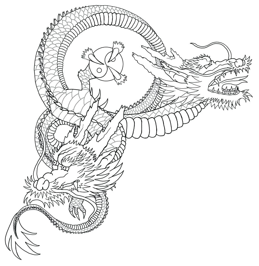 1024x1051 Vector Graphic Outline Of A Frilled Dragon Stock Koi Fish Drawing