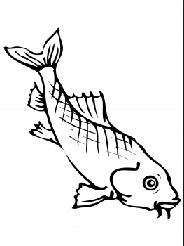 263x350 Asian Carp Coloring Page Amp Coloring Book
