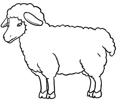 400x350 How To Draw A Sheep