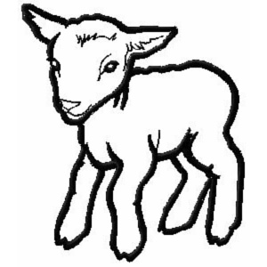 300x300 Wildlife Animal Machine Embroidery Designs