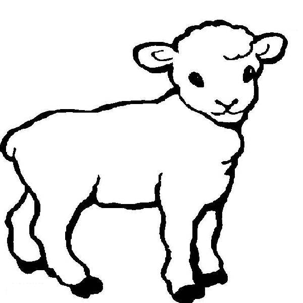 600x600 Lamb Amp Lion Cartoon