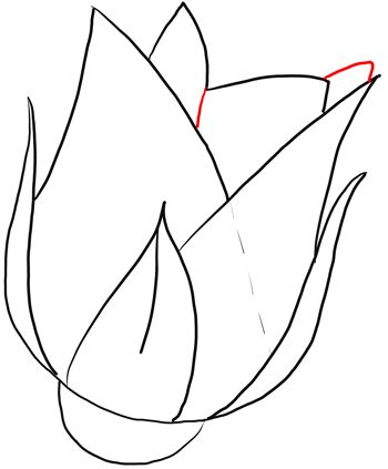 350x423 The Best Roses Drawing Tutorial Ideas On How