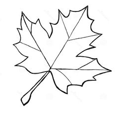 236x245 Learn How To Draw A Leaf, One Of The Maple Variety
