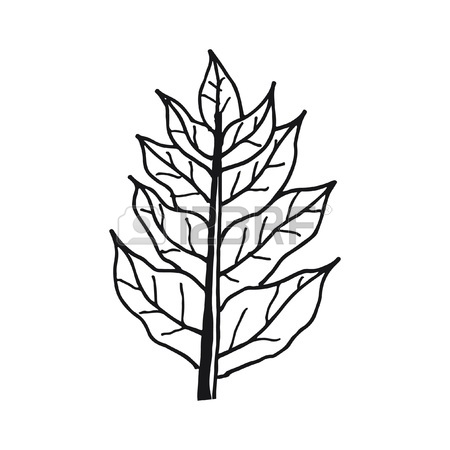 450x450 Simple Leaf Design Royalty Free Cliparts, Vectors, And Stock