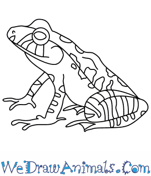 300x350 How To Draw A Leopard Robber Frog