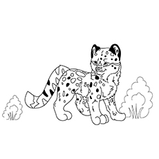 230x230 Top 25 Free Printable Leopard Coloring Pages Online