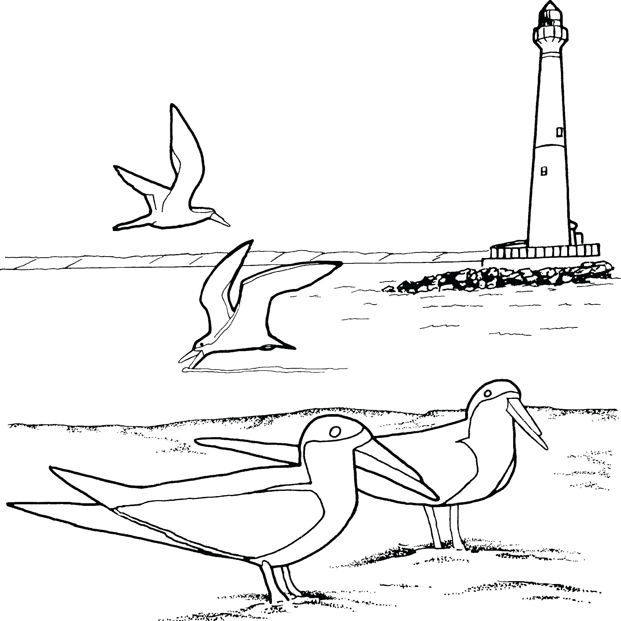 2366x2368 Coloring Lighthouse Coloring Page Flower Garden Drawing For Kids