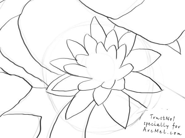 600x449 How To Draw A Water Lily Step By Step